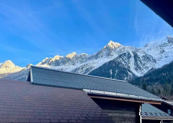 Cosy Petite Chalet T3, Jardin, Terrasse, Parking. Chamonix Mont-Blanc.