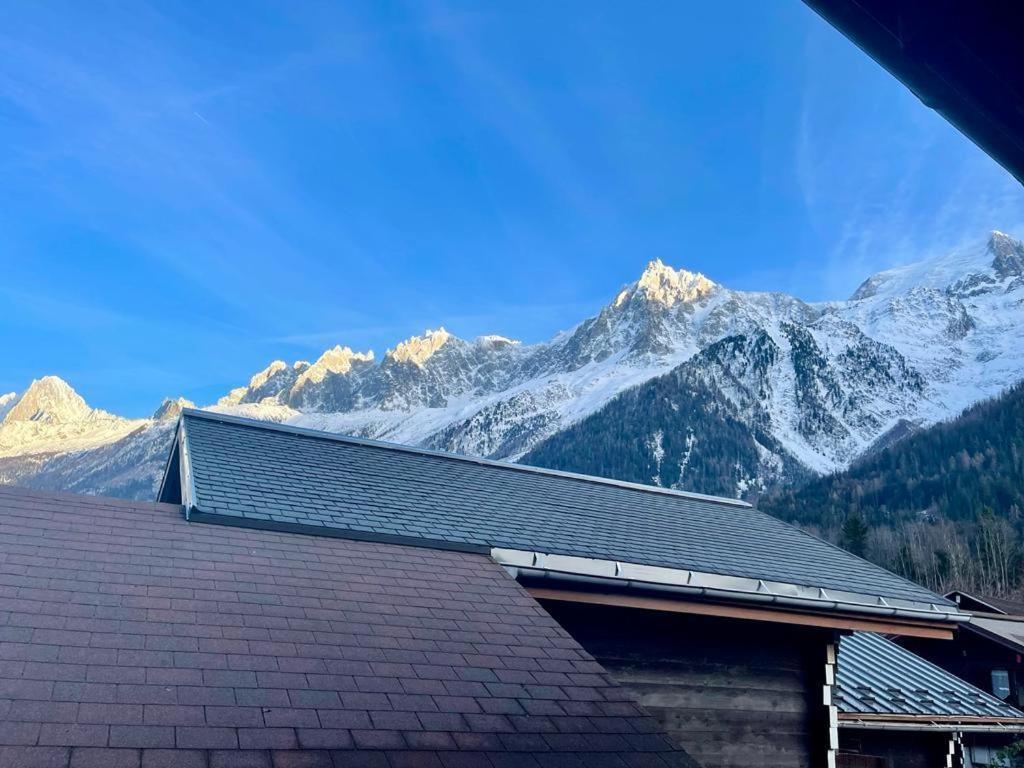 Cosy Petite T3, Jardin, Terrasse, Parking. Chamonix Mont-blanc.